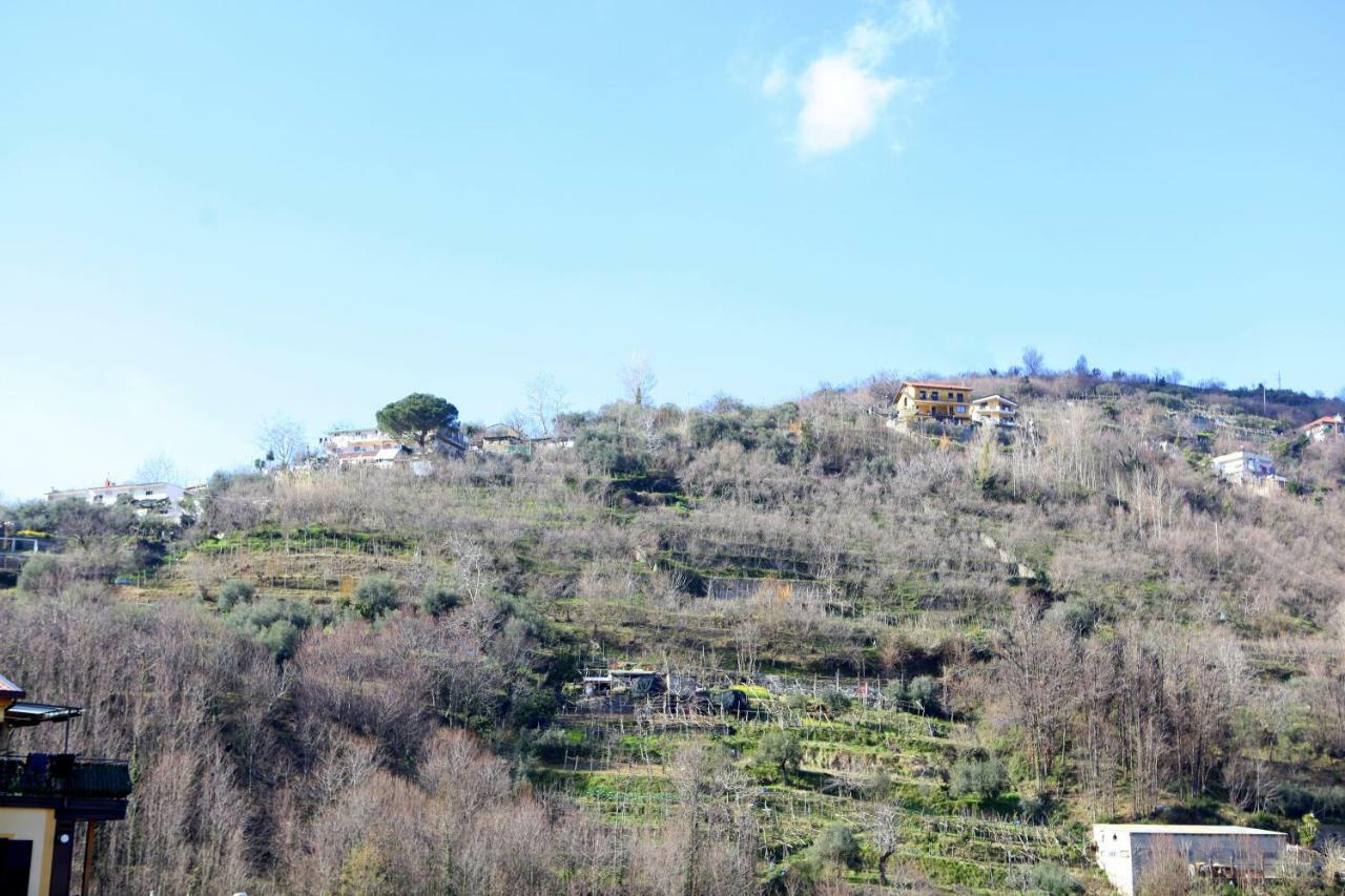 Rosy House - Hospitality Daire Pimonte Dış mekan fotoğraf